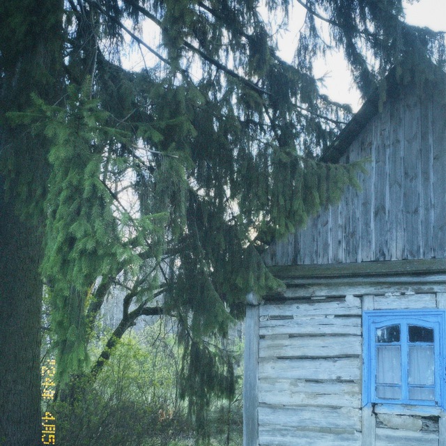 Мелодія віри 🎵