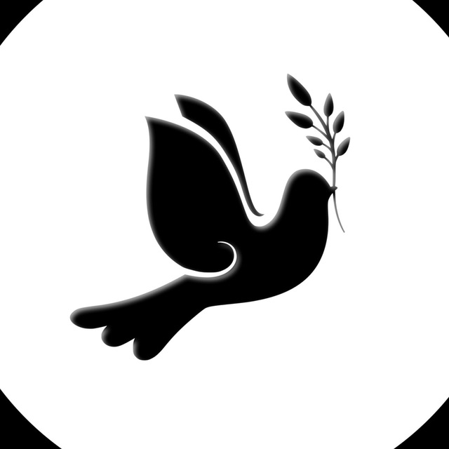 🕊️ Щоденник Волонтера