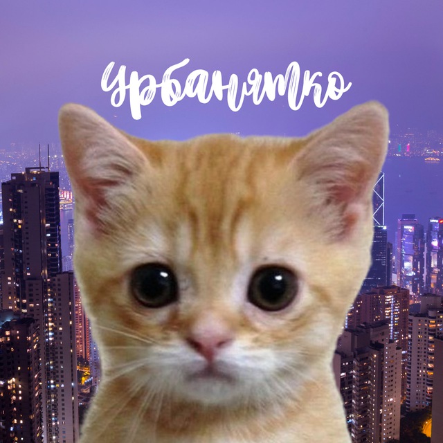 Urbanism | Урбанізм та місто