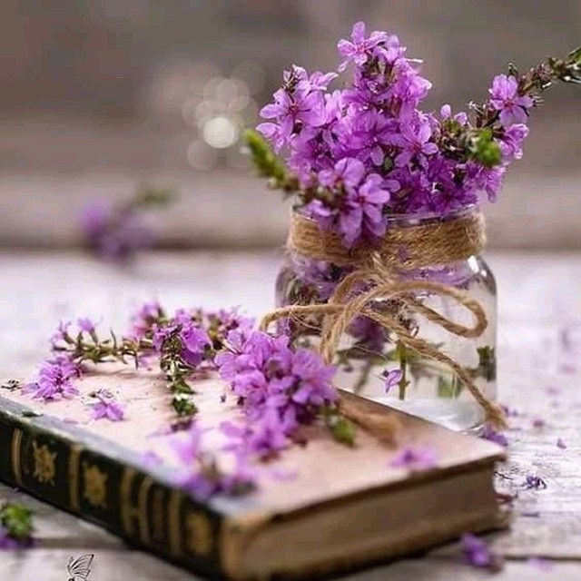 📚КНИЖКОВЕ НАТХНЕННЯ 📚